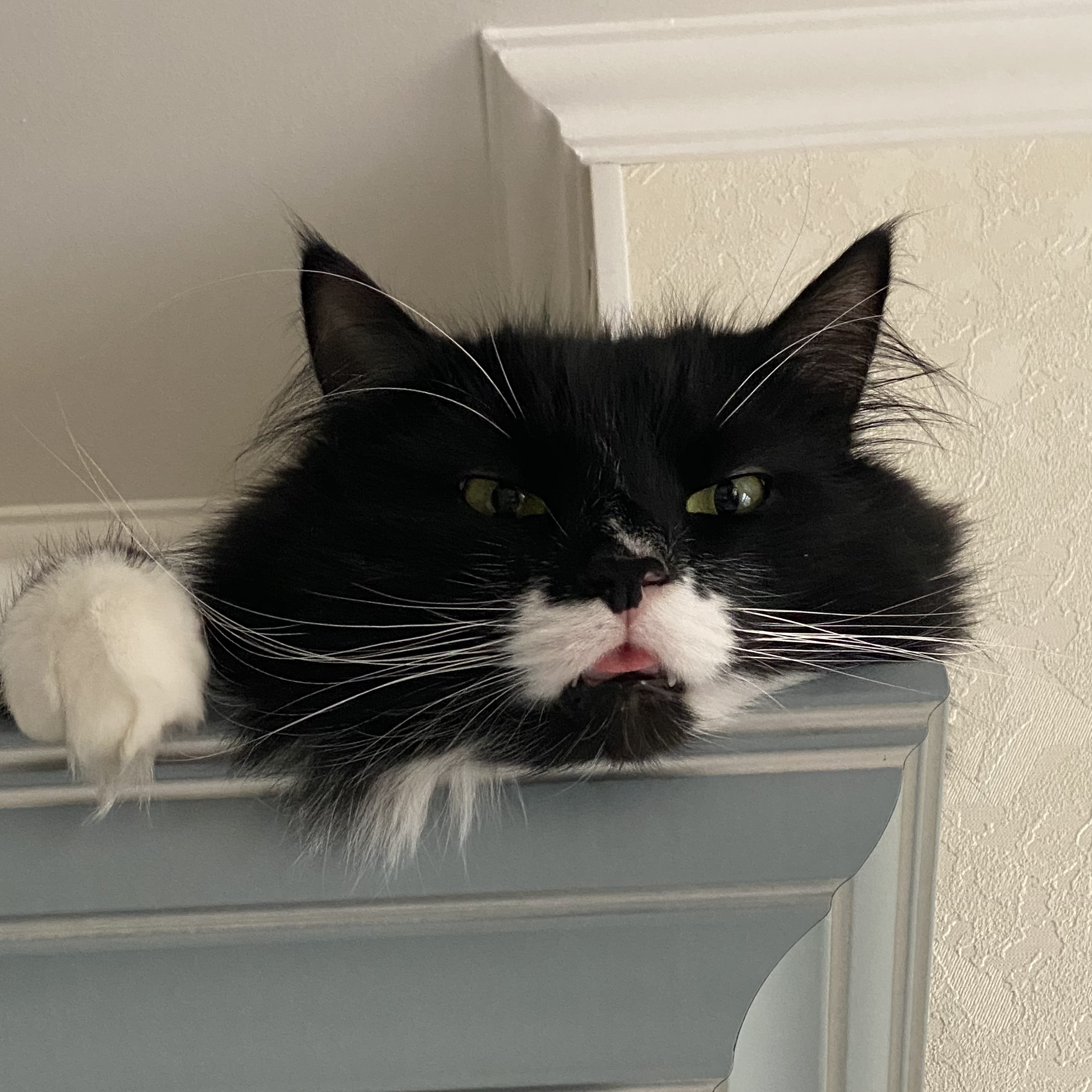 Бандеро Кіт